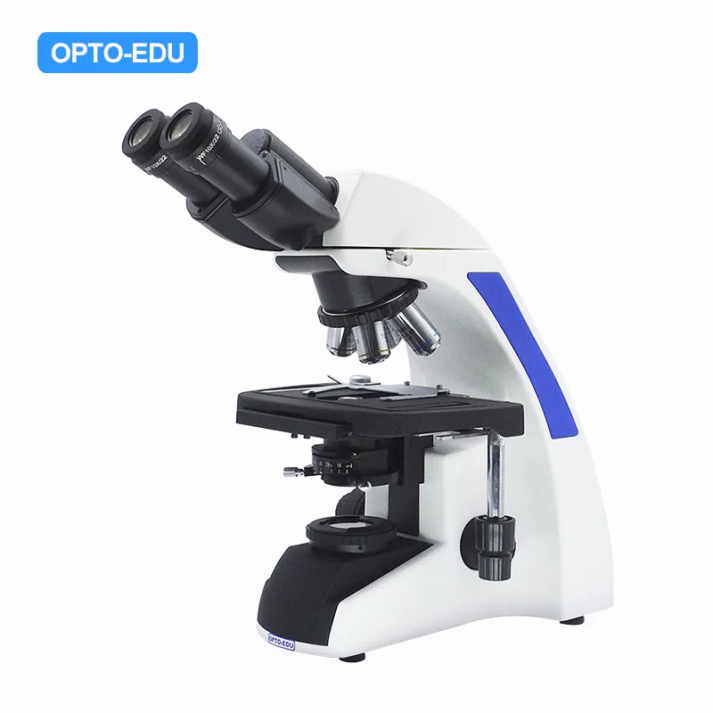 Laboratory Microscope Model : A12.1502-B