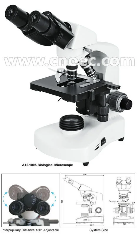 Compound Optical Microscope Model : A12.1005